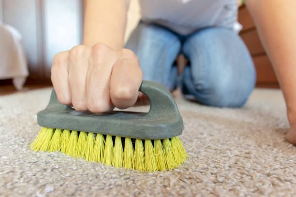 ¿Cómo limpiar la moqueta en Vigo? Guía Completa